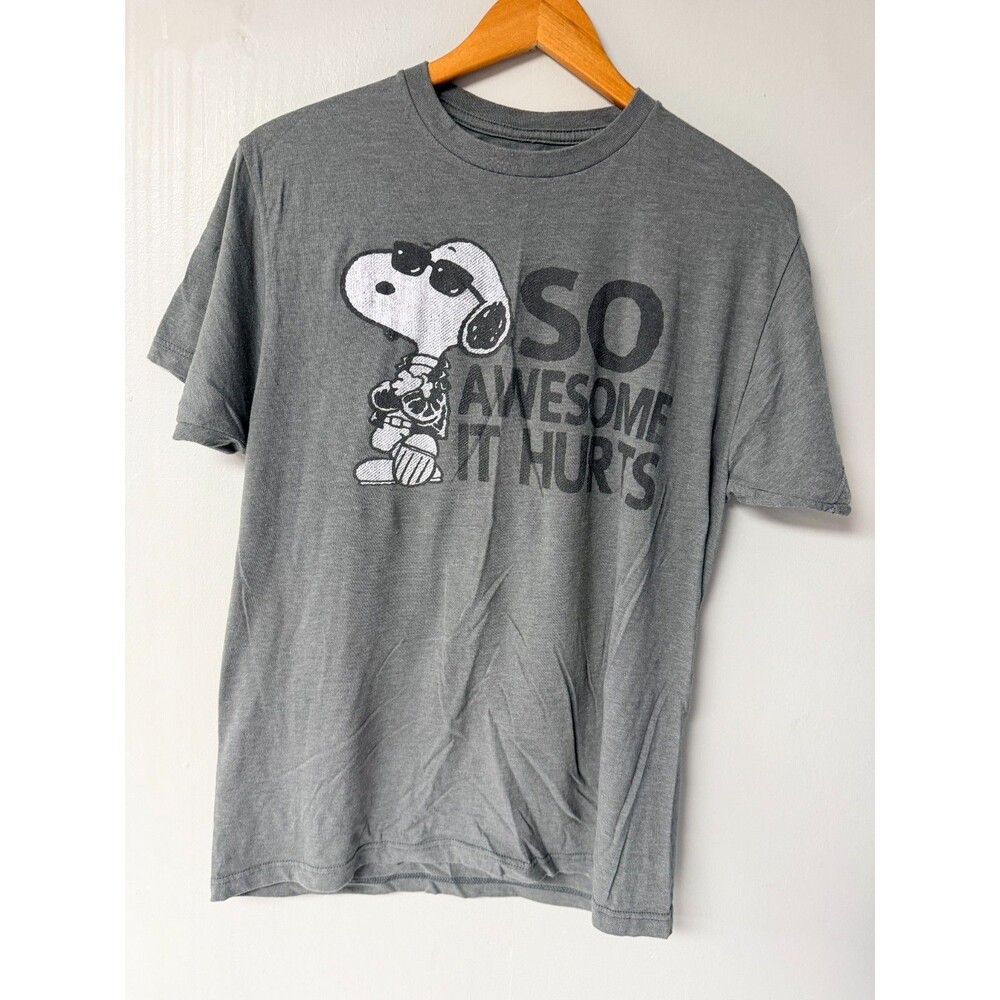 Peanuts Snoopy So Awesome It Hurts Gray Graphic T-Shirt Adult Medium